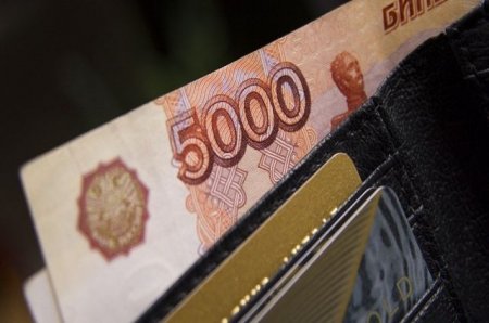 Названы регионы РФ с самыми высокими и низкими зарплатами